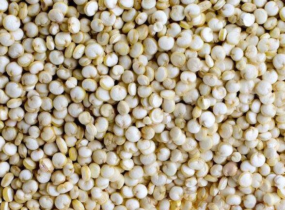 藜麦的功效与作用_藜麦的营养价值_藜麦的适用人群