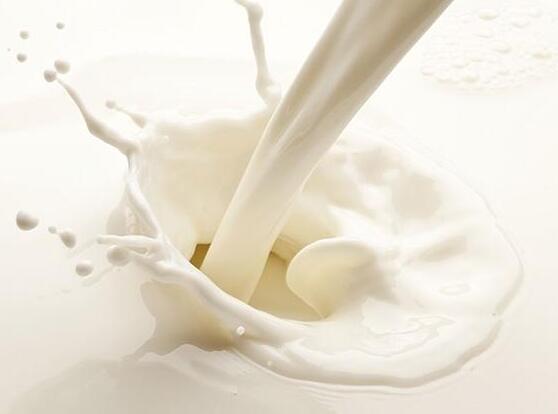 胃肠敏感喝牛奶过敏者可以试试喝羊奶