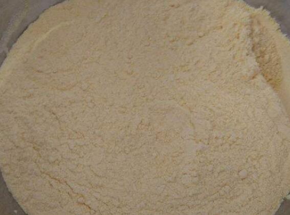 白玉米面能和橙子一起吃吗_白玉米面和橙子能一起吃吗/同吃