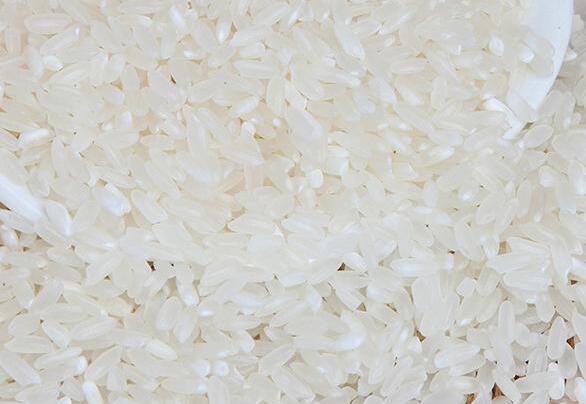 籼米的功效与作用_籼米的营养价值_籼米的适合体质_籼米的适用人群