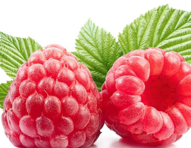 专家：多吃树莓预防肝癌