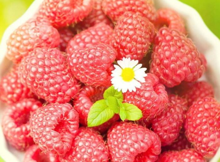 山莓食用功效_山莓化学成分_山莓食物营养成分