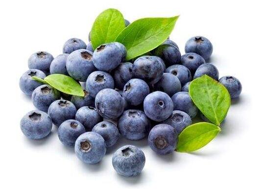 常吃蓝莓对身体有什么好处
