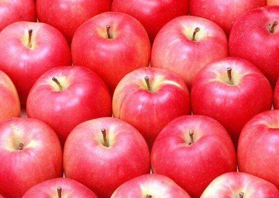 多吃苹果可防癌