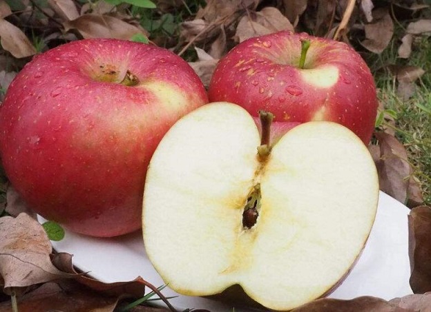 苹果多种吃法多种功效 生吃熟吃都养生