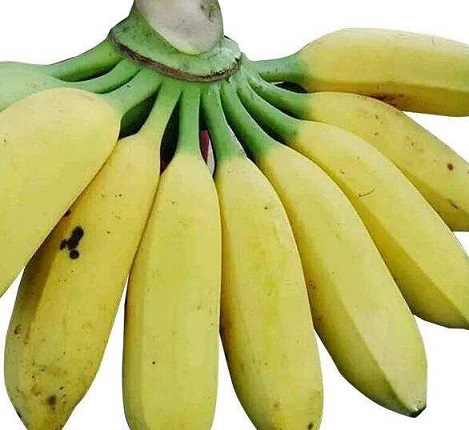 香蕉有助于降低高血压