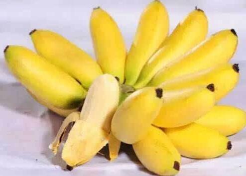吃香蕉保持快乐心情吃百果能养生