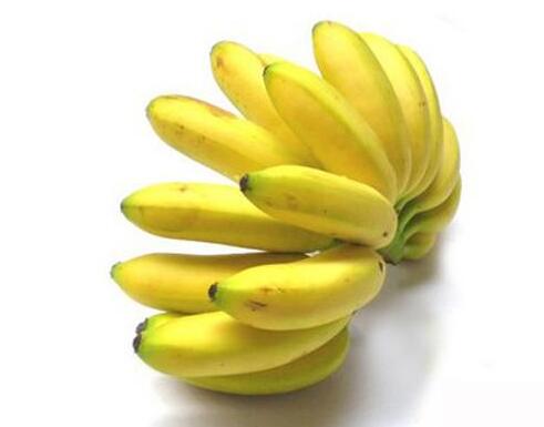 香蕉根的作用,香蕉食疗治疗不同疾病