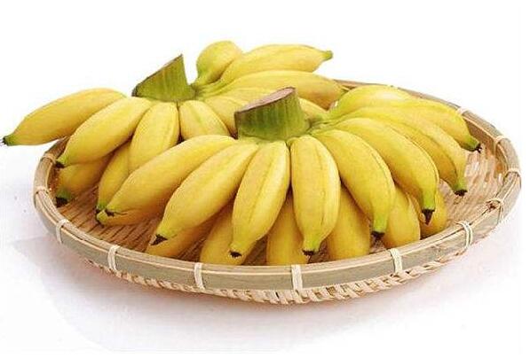 专家说饭前闻香蕉和苹果便可以减肥