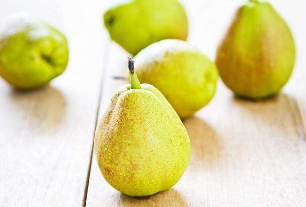 大头梨能和大花蟹一起吃吗/同吃_大头梨和大花蟹相克吗