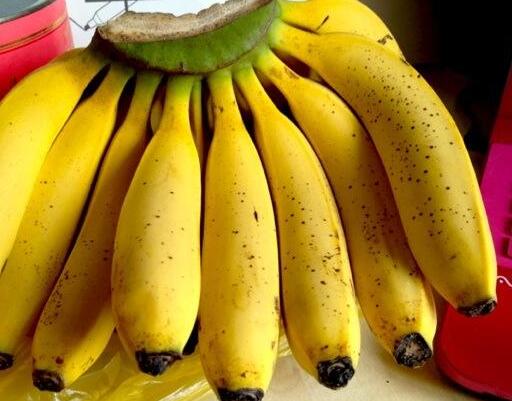 如何挑选芝麻蕉_红皮香蕉与普通香蕉有什么区别吗