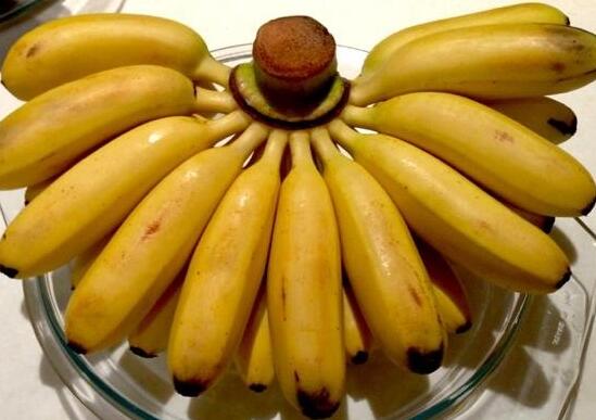 芝麻蕉的功效与作用_芝麻蕉的营养价值_芝麻蕉的食用禁忌_芝麻蕉的适用人群