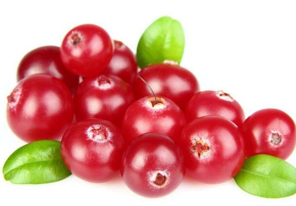 蔓越莓的功效与作用_蔓越莓的营养价值_蔓越莓的适合体质_蔓越莓的食用禁忌