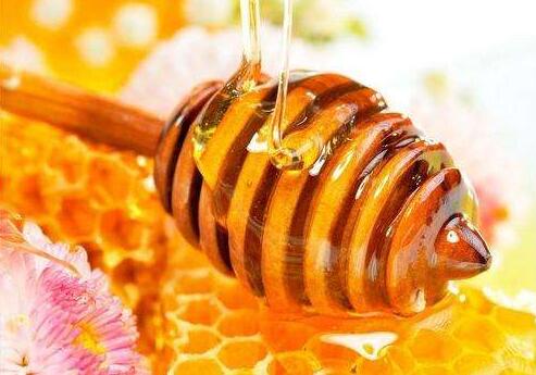蜂胶能够治百病