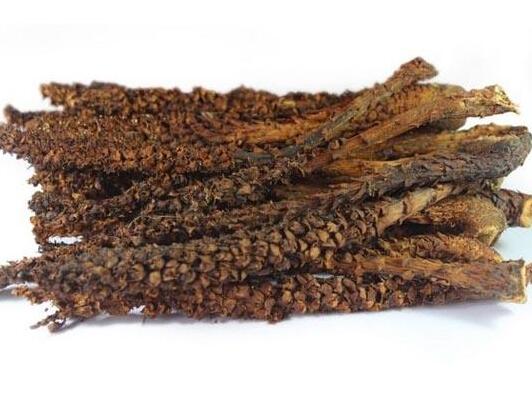 大芸能和五味子一起吃吗_大芸和五味子能一起吃吗/同吃