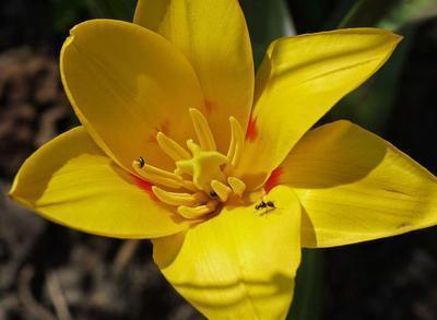 高血压的早期症状有哪些 引发高血压的因素有哪些