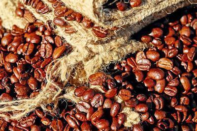 咖啡豆种类和味道是怎么样的 介绍咖啡豆的种类和营养成分