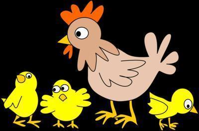 禽流感的扑杀方法 禽流感怎么预防