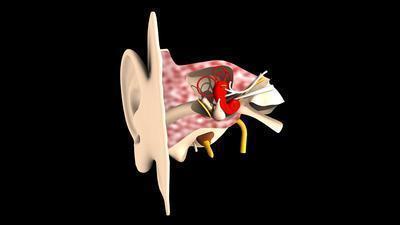 化脓中耳炎用什么药 化脓性中耳炎的病因