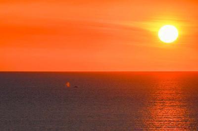 防晒霜和喷雾哪个好 防晒霜有什么作用