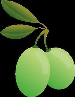 橄榄可以治咳嗽吗 橄榄止咳食疗方法有哪些