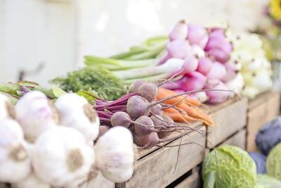 具体有哪些蔬菜是碱性的 碱性蔬菜的作用是什么呢