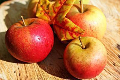 宝宝几个月可以吃苹果 吃苹果的辅食制作