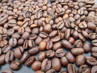 小孩玩的咖啡豆的种类 咖啡豆包括哪些类型