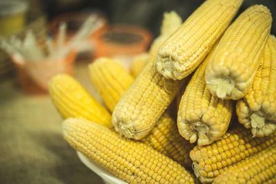 玉米烙怎么做 吃玉米粒的好处