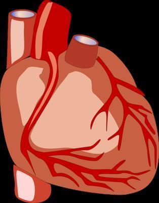 肺动脉高压怎么回事 肺动脉高压的预防措施有哪些