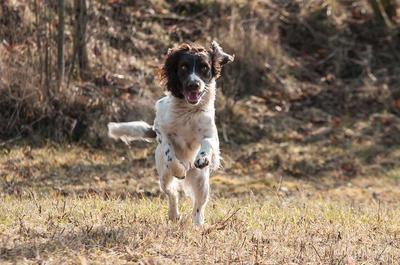 狂犬病怎么治疗方法 狂犬病的并发症有哪些