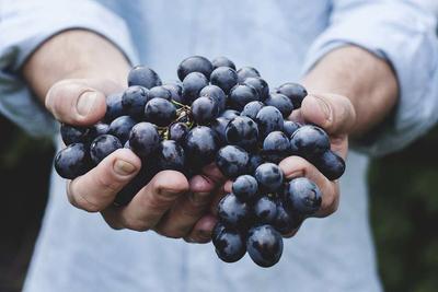 反流性食管炎吃葡萄吗 反流性食管炎有哪些致病原因