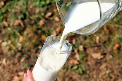 糖尿病人可以喝牛奶吗 糖尿病的危害有哪些