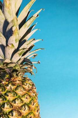 菠萝中毒症状是什么 菠萝与其他食物的禁忌搭配