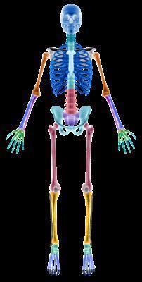 右腹部肋骨下按压疼痛怎么办 为什么会右腹部肋骨痛
