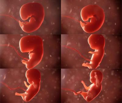 孕晚期b超数据要注意什么 能看出还有多久要生吗