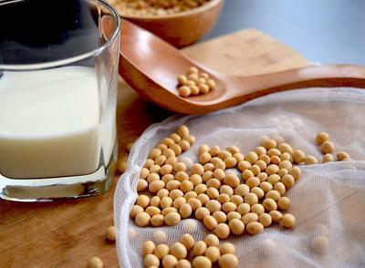 蜂蜜豆浆对孕妇的功效 介绍豆浆的正确食用方法