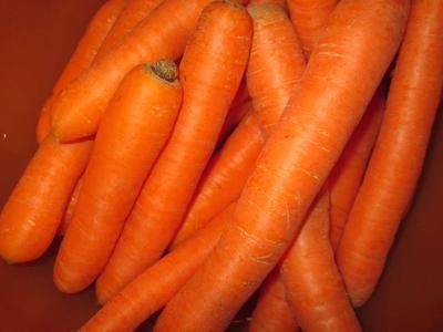 红萝卜的副作用有哪些 食用红萝卜有哪些禁忌