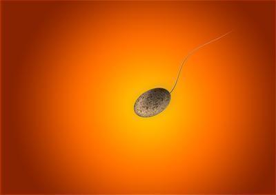 精子能存活多久？精子存活有什么条件
