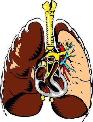 肺间质纤维化挂哪个科室 肺间质纤维化的如何治疗