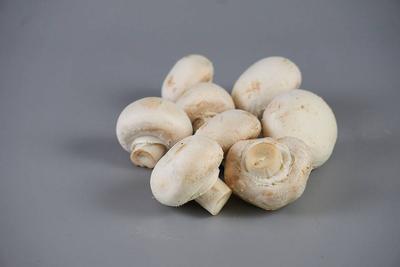 口蘑的做法有哪些 口蘑的3道经典食谱介绍