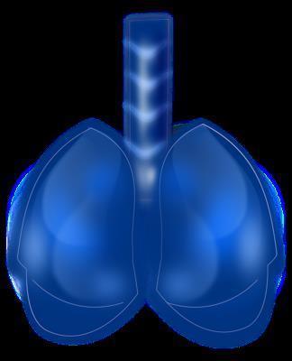 术后肺不张的护理措施有哪些 肺不张的原因有哪些