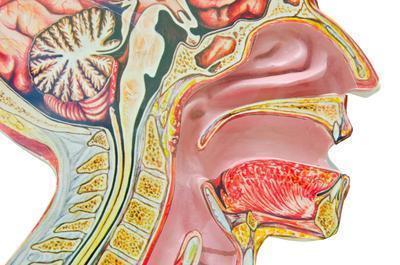 食管良性肿瘤的分类有哪些 食管囊肿的临床表现有哪些