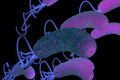 艾滋病女性患者应注意一些什么 艾滋病的主要症状有那些 艾滋病女性患者应注意一些什么 艾滋病的主要症状有那些