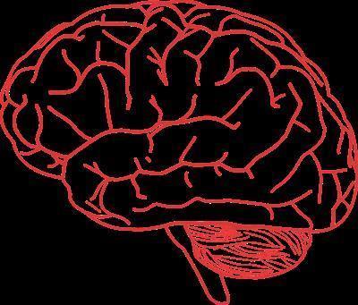 重型闭合性颅脑损伤怎么治 闭合性颅脑损伤需要检查什么