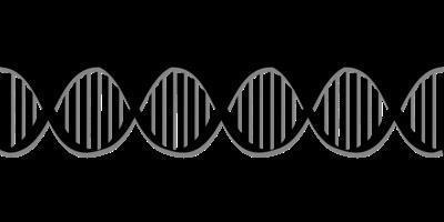 单基因遗传病概率 单基因遗传病的形成