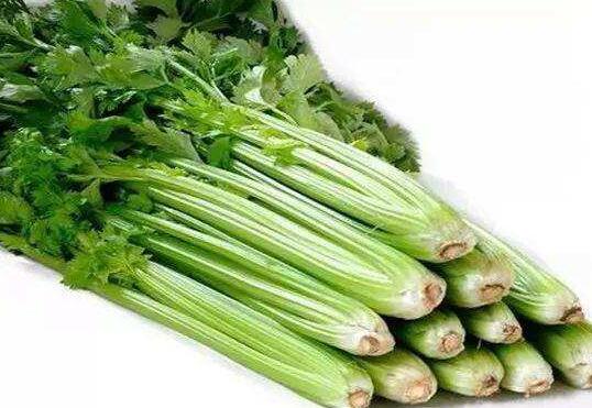 平时多吃芹菜有助于降低血压_芹菜的功效与作用
