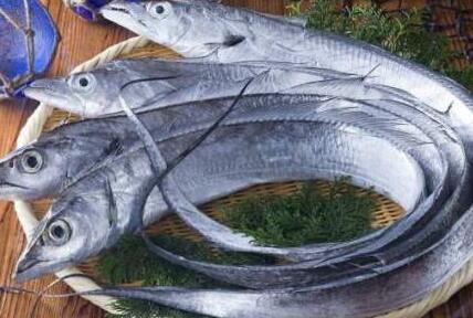 肾病可以吃带鱼吗肾病的早期症状是什么呢