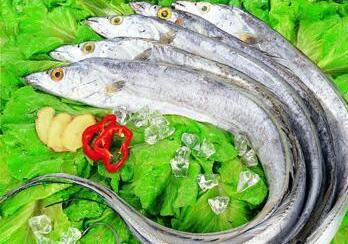 自备午餐不宜带鱼类和绿叶蔬菜特殊职业