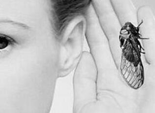 耳鸣的发病原因有哪些呢